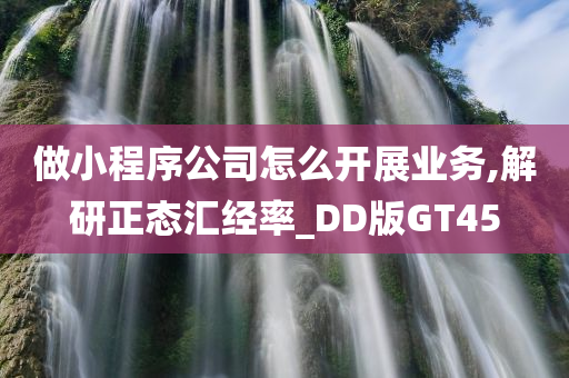 做小程序公司怎么开展业务,解研正态汇经率_DD版GT45