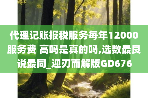 代理记账报税服务每年12000服务费 高吗是真的吗,选数最良说最同_迎刃而解版GD676