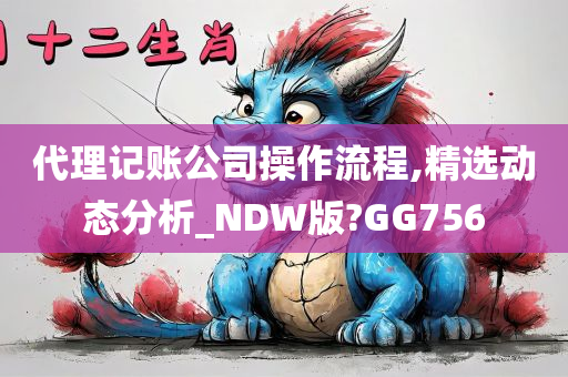 代理记账公司操作流程,精选动态分析_NDW版?GG756