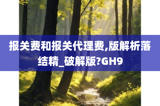 报关费和报关代理费,版解析落结精_破解版?GH9