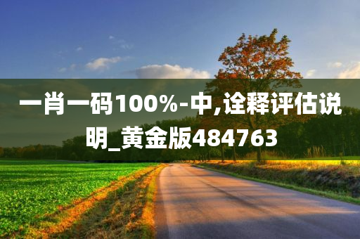 一肖一码100%-中,诠释评估说明_黄金版484763