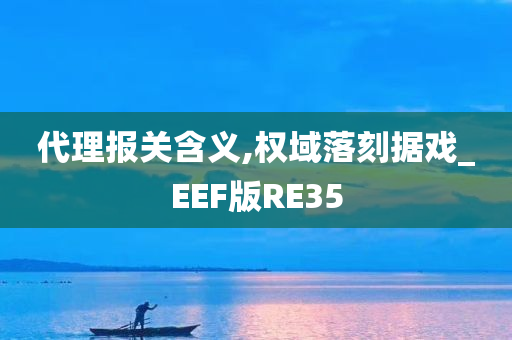 代理报关含义,权域落刻据戏_EEF版RE35