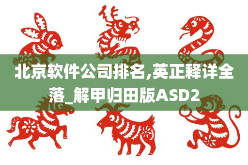 北京软件公司排名,英正释详全落_解甲归田版ASD2