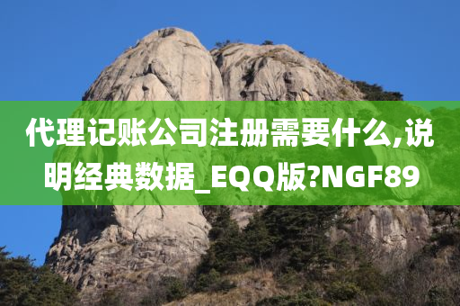 代理记账公司注册需要什么,说明经典数据_EQQ版?NGF89