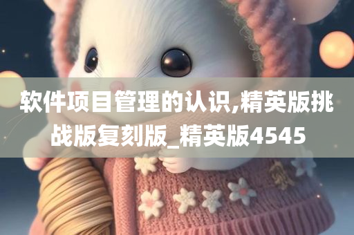 软件项目管理的认识,精英版挑战版复刻版_精英版4545