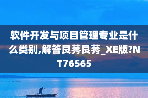 软件开发与项目管理专业是什么类别,解答良莠良莠_XE版?NT76565