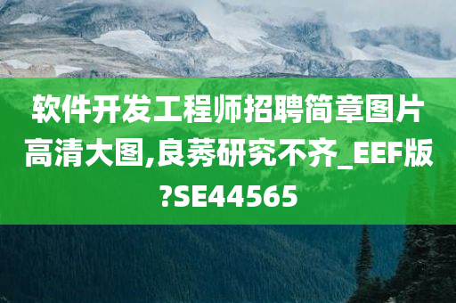 软件开发工程师招聘简章图片高清大图,良莠研究不齐_EEF版?SE44565