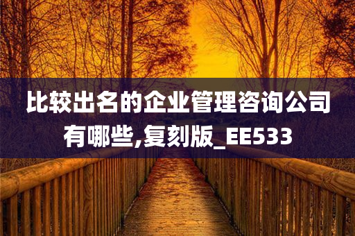 比较出名的企业管理咨询公司有哪些,复刻版_EE533