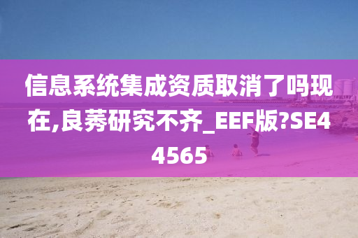 信息系统集成资质取消了吗现在,良莠研究不齐_EEF版?SE44565