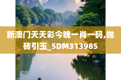 新澳门天天彩今晚一肖一码,抛砖引玉_5DM313985