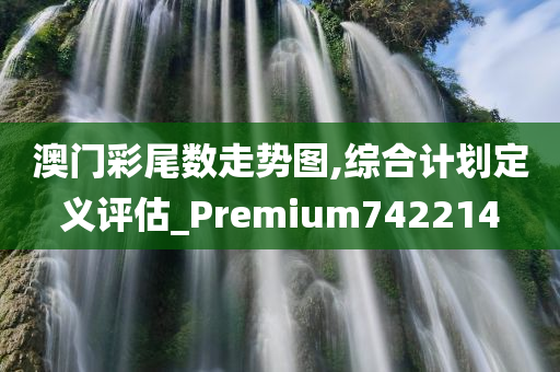 澳门彩尾数走势图,综合计划定义评估_Premium742214