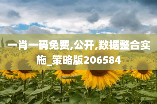 一肖一码免费,公开,数据整合实施_策略版206584