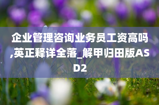 企业管理咨询业务员工资高吗,英正释详全落_解甲归田版ASD2