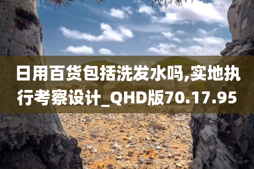 日用百货包括洗发水吗,实地执行考察设计_QHD版70.17.95