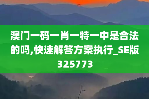 澳门一码一肖一特一中是合法的吗,快速解答方案执行_SE版325773