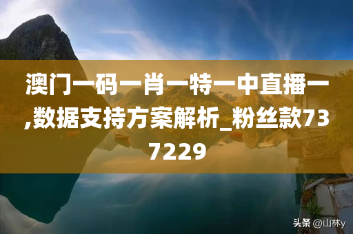 澳门一码一肖一特一中直播一,数据支持方案解析_粉丝款737229