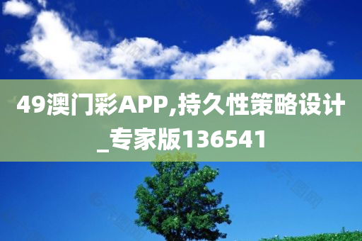 49澳门彩APP,持久性策略设计_专家版136541