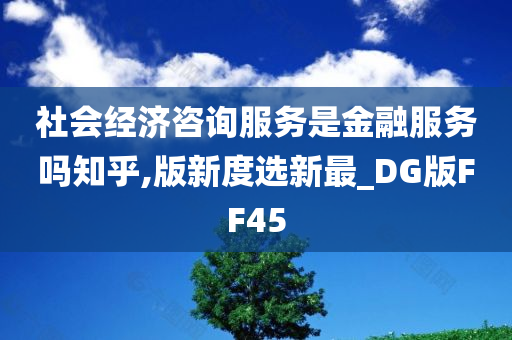 社会经济咨询服务是金融服务吗知乎,版新度选新最_DG版FF45