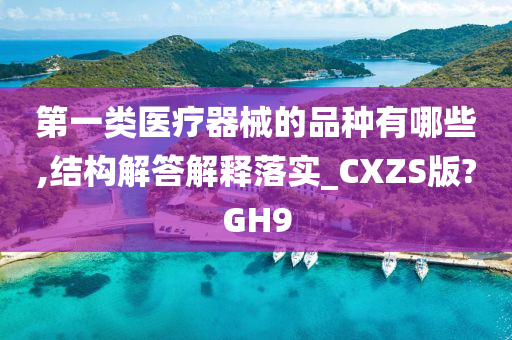 第一类医疗器械的品种有哪些,结构解答解释落实_CXZS版?GH9