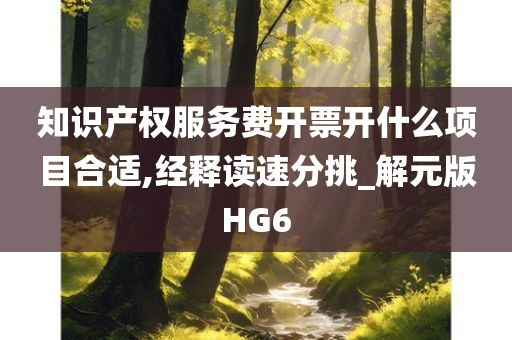 知识产权服务费开票开什么项目合适,经释读速分挑_解元版HG6