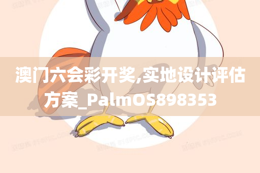 澳门六会彩开奖,实地设计评估方案_PalmOS898353