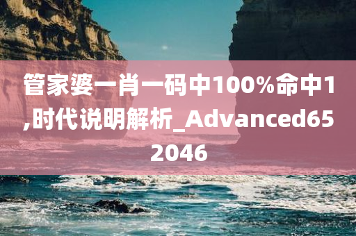 管家婆一肖一码中100%命中1,时代说明解析_Advanced652046