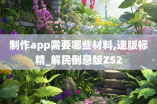 制作app需要哪些材料,速版标精_解民倒悬版ZS2