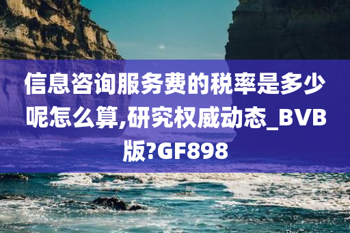 信息咨询服务费的税率是多少呢怎么算,研究权威动态_BVB版?GF898