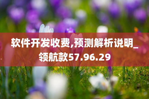 软件开发收费,预测解析说明_领航款57.96.29