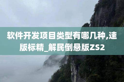 软件开发项目类型有哪几种,速版标精_解民倒悬版ZS2