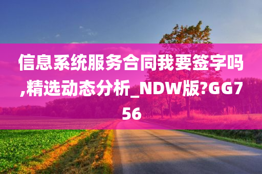 信息系统服务合同我要签字吗,精选动态分析_NDW版?GG756