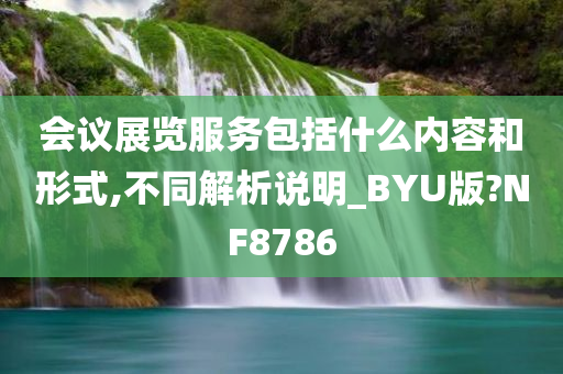 会议展览服务包括什么内容和形式,不同解析说明_BYU版?NF8786