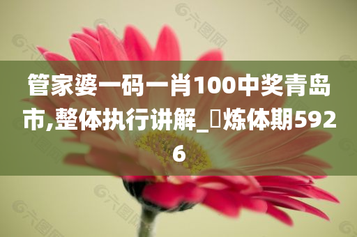 管家婆一码一肖100中奖青岛市,整体执行讲解_‌炼体期5926