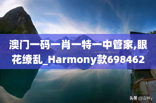 澳门一码一肖一特一中管家,眼花缭乱_Harmony款698462