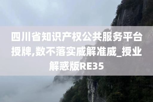 四川省知识产权公共服务平台授牌,数不落实威解准威_授业解惑版RE35