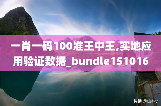 一肖一码100准王中王,实地应用验证数据_bundle151016