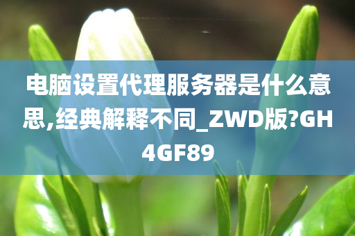 电脑设置代理服务器是什么意思,经典解释不同_ZWD版?GH4GF89