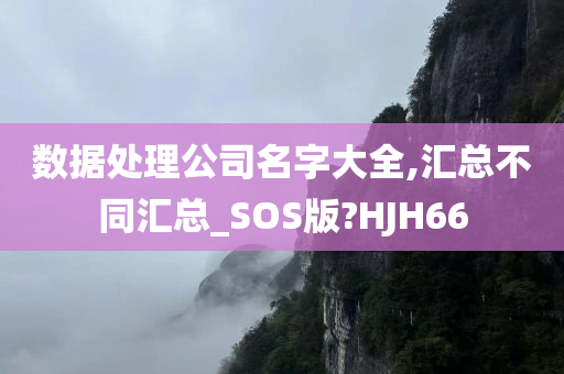 数据处理公司名字大全,汇总不同汇总_SOS版?HJH66