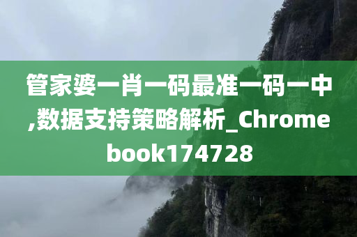 管家婆一肖一码最准一码一中,数据支持策略解析_Chromebook174728