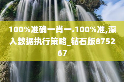 100%准确一肖一.100%准,深入数据执行策略_钻石版875267