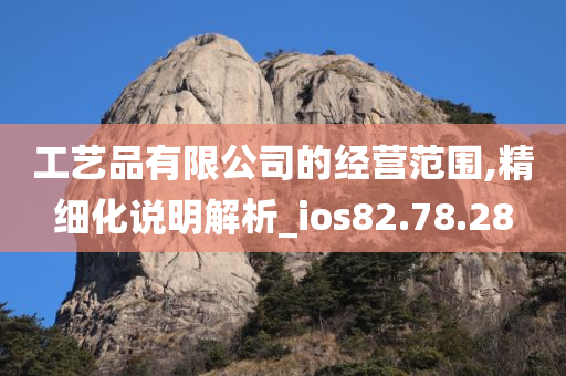 工艺品有限公司的经营范围,精细化说明解析_ios82.78.28