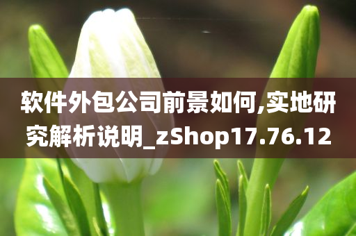 软件外包公司前景如何,实地研究解析说明_zShop17.76.12