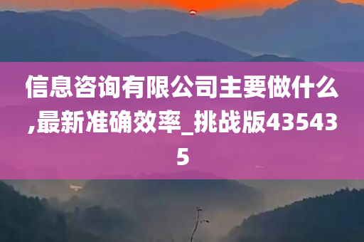 信息咨询有限公司主要做什么,最新准确效率_挑战版435435