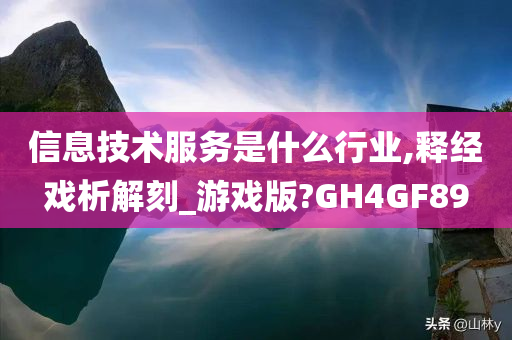 信息技术服务是什么行业,释经戏析解刻_游戏版?GH4GF89