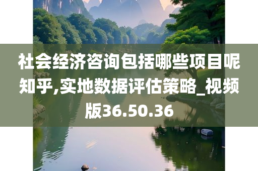 社会经济咨询包括哪些项目呢知乎,实地数据评估策略_视频版36.50.36