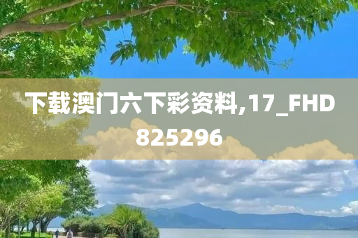 下载澳门六下彩资料,17_FHD825296