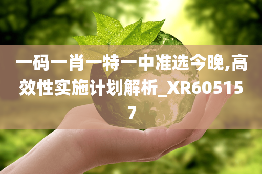 一码一肖一特一中准选今晚,高效性实施计划解析_XR605157