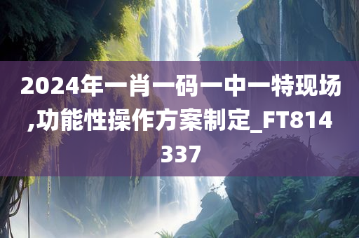 2024年一肖一码一中一特现场,功能性操作方案制定_FT814337