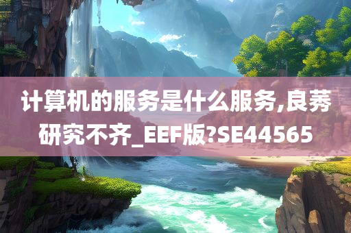 计算机的服务是什么服务,良莠研究不齐_EEF版?SE44565