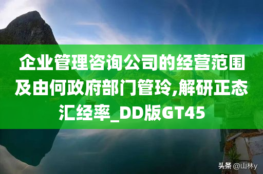 企业管理咨询公司的经营范围及由何政府部门管玲,解研正态汇经率_DD版GT45